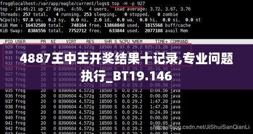 4887王中王开奖结果十记录,专业问题执行_BT19.146