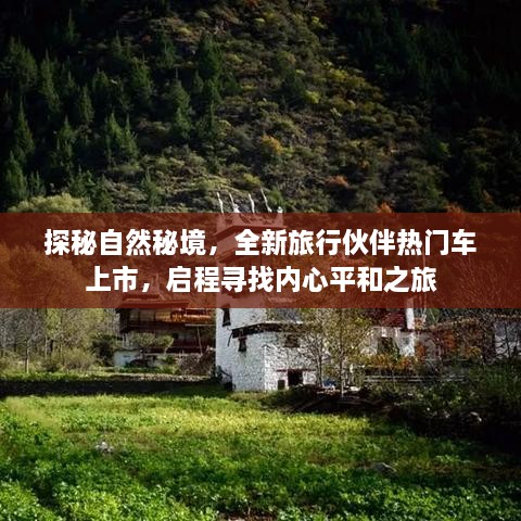 探秘自然秘境，全新旅行伙伴热门车引领内心平和之旅