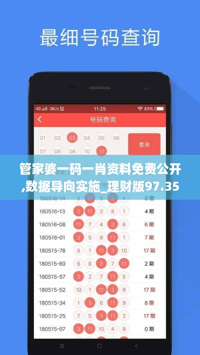 管家婆一码一肖资料免费公开,数据导向实施_理财版97.355