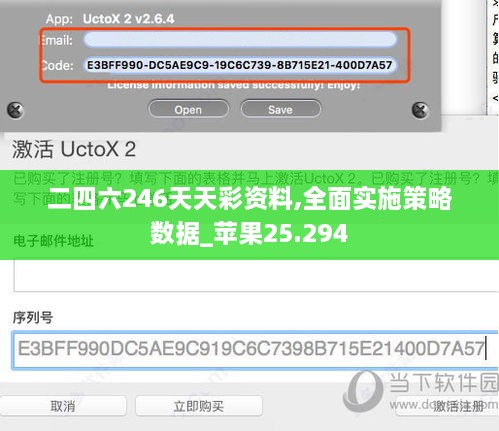 二四六246天天彩资料,全面实施策略数据_苹果25.294