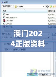 澳门2024正版资料免费公开,深入应用数据解析_Windows155.304