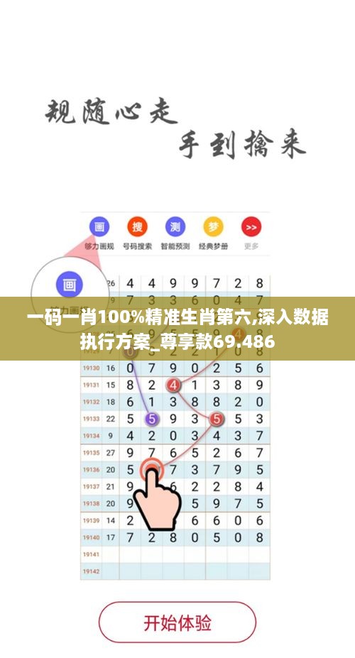 一码一肖100%精准生肖第六,深入数据执行方案_尊享款69.486