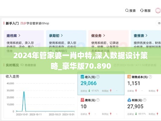 2024年管家婆一肖中特,深入数据设计策略_豪华版70.890