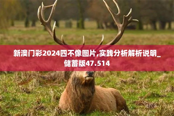 新澳门彩2024四不像图片,实践分析解析说明_储蓄版47.514