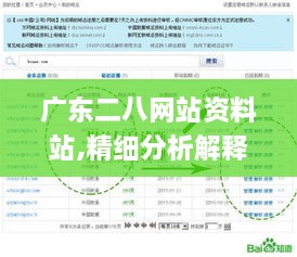 广东二八网站资料站,精细分析解释定义_3DM85.662