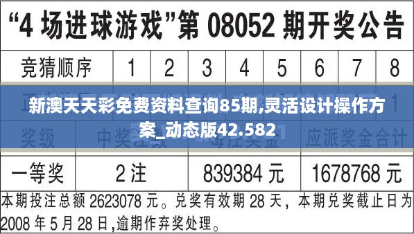 新澳天天彩免费资料查询85期,灵活设计操作方案_动态版42.582