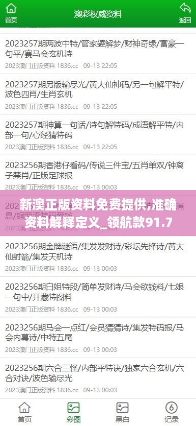 新澳正版资料免费提供,准确资料解释定义_领航款91.761