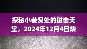 探秘小巷深处的射击天堂，块状射击热门版免谷歌体验，2024年12月4日独家揭秘