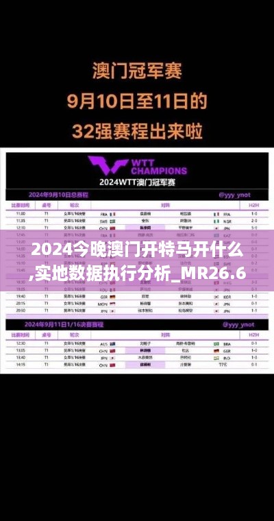 2024今晚澳门开特马开什么,实地数据执行分析_MR26.612