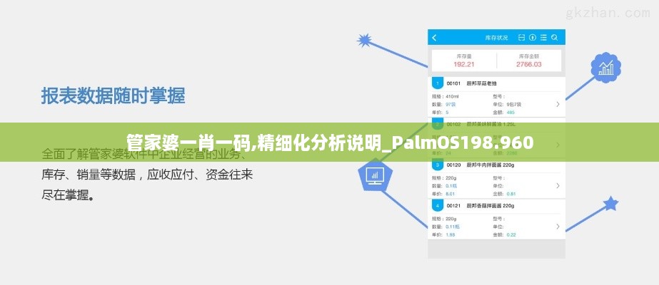 管家婆一肖一码,精细化分析说明_PalmOS198.960