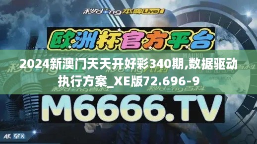 2024新澳门天天开好彩340期,数据驱动执行方案_XE版72.696-9