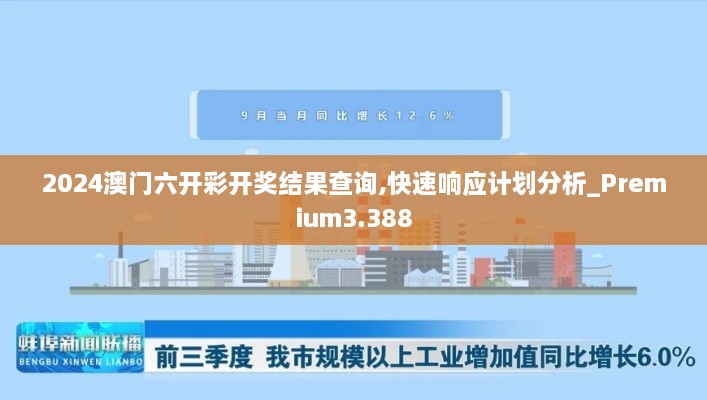 2024澳门六开彩开奖结果查询,快速响应计划分析_Premium3.388