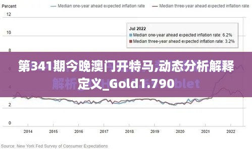 第341期今晚澳门开特马,动态分析解释定义_Gold1.790