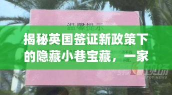 2024年12月5日 第11页