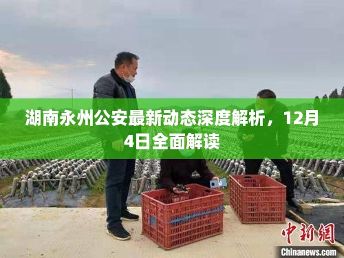 湖南永州公安最新动态深度解析，12月4日全面解读报告出炉