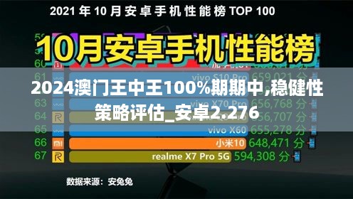 2024澳门王中王100%期期中,稳健性策略评估_安卓2.276