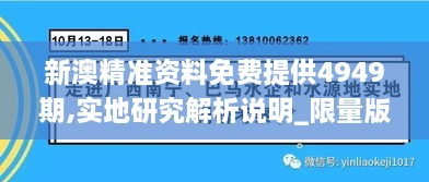 新澳精准资料免费提供4949期,实地研究解析说明_限量版9.134