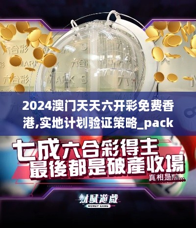 2024澳门天天六开彩免费香港,实地计划验证策略_pack110.777