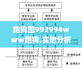 跑狗图993994www跑狗,实地分析数据设计_PalmOS5.514