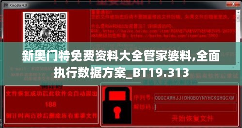 新奥门特免费资料大全管家婆料,全面执行数据方案_BT19.313