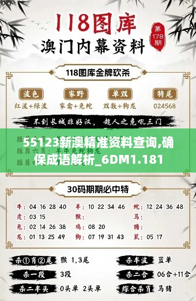 55123新澳精准资料查询,确保成语解析_6DM1.181