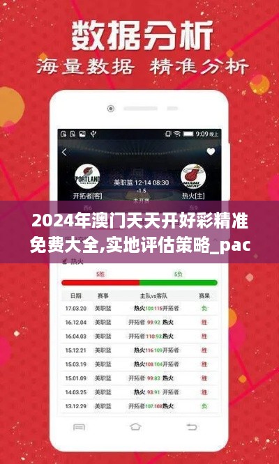 2024年澳门天天开好彩精准免费大全,实地评估策略_pack14.623