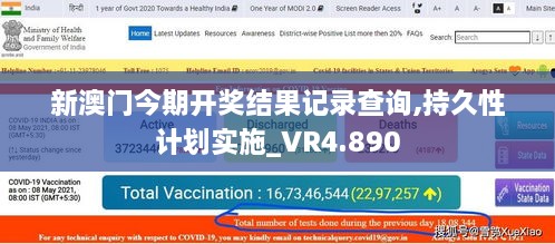 新澳门今期开奖结果记录查询,持久性计划实施_VR4.890