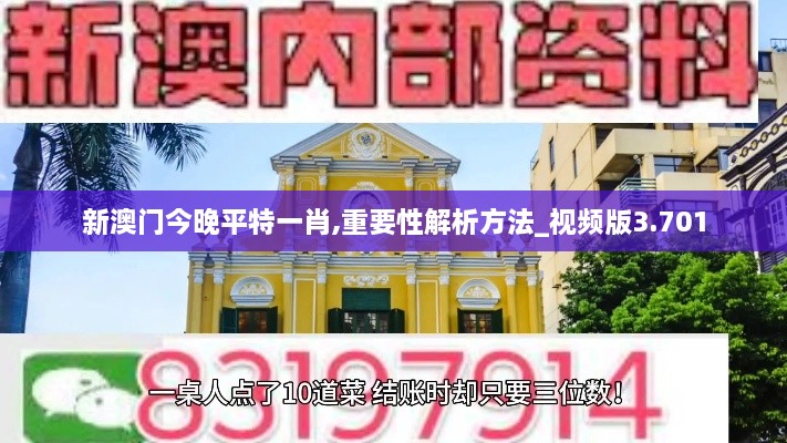 新澳门今晚平特一肖,重要性解析方法_视频版3.701