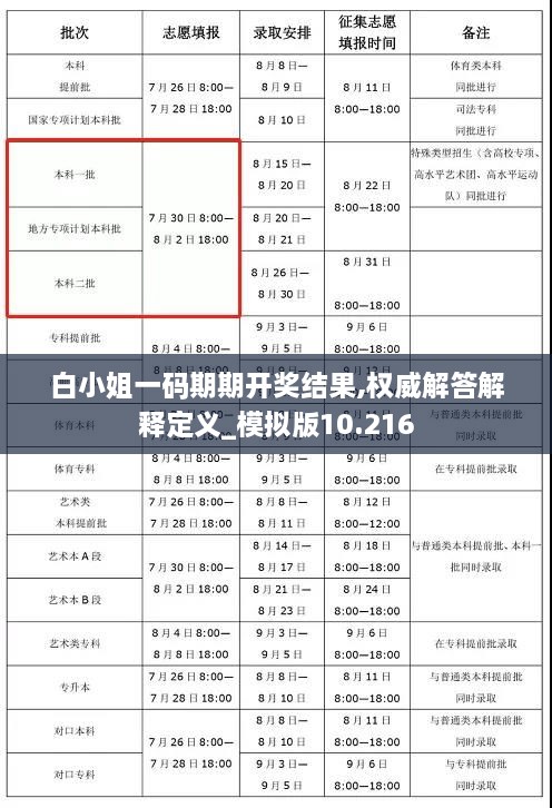 白小姐一码期期开奖结果,权威解答解释定义_模拟版10.216