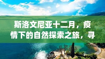 斯洛文尼亚十二月，疫情下的自然探索之旅，心灵宁静与力量的追寻