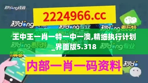 王中王一肖一特一中一澳,精细执行计划_界面版5.318