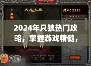 掌握游戏精髓，2024年只狼热门攻略，成就忍者传奇之路