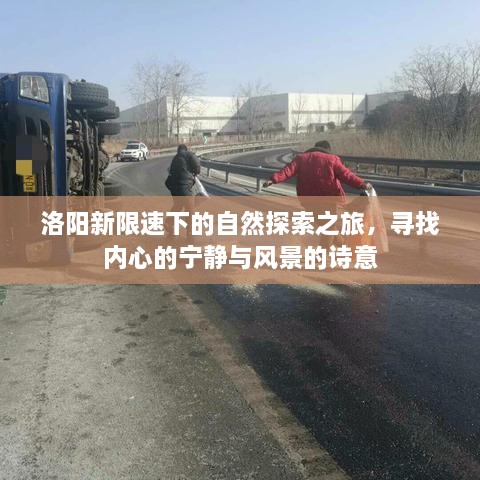 洛阳新限速下的自然探索之旅，追寻内心宁静与诗意风景