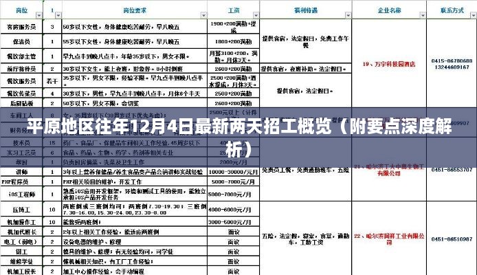 平原地区12月4日最新招工概览及深度解析