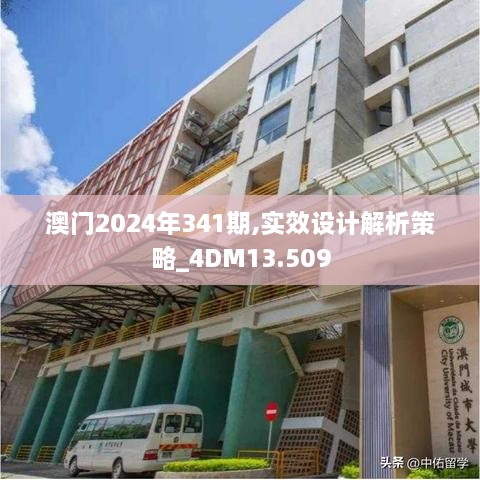 澳门2024年341期,实效设计解析策略_4DM13.509