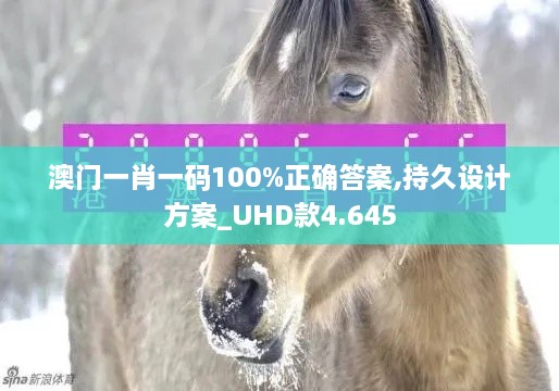 澳门一肖一码100%正确答案,持久设计方案_UHD款4.645