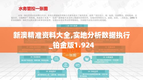 新澳精准资料大全,实地分析数据执行_铂金版1.924