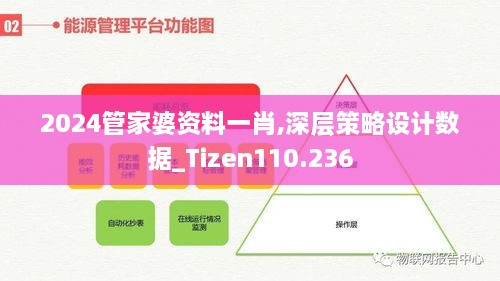 2024管家婆资料一肖,深层策略设计数据_Tizen110.236