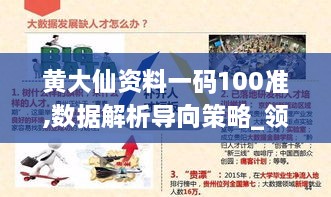 黄大仙资料一码100准,数据解析导向策略_领航版9.577