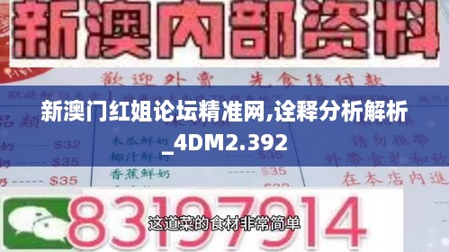 新澳门红姐论坛精准网,诠释分析解析_4DM2.392