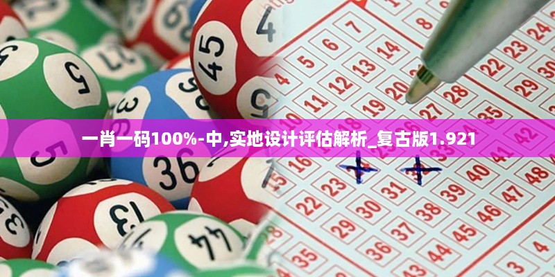 一肖一码100%-中,实地设计评估解析_复古版1.921