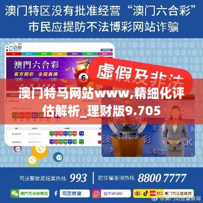 澳门特马网站www,精细化评估解析_理财版9.705