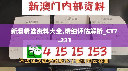 新澳精准资料大全,精细评估解析_CT7.231