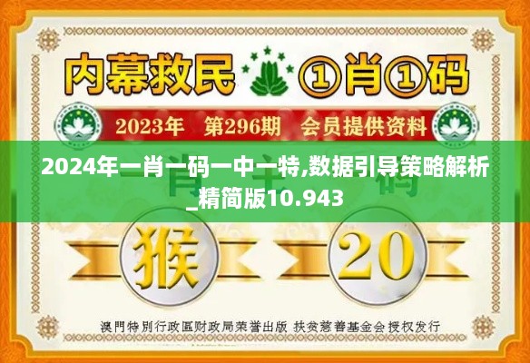 2024年一肖一码一中一特,数据引导策略解析_精简版10.943