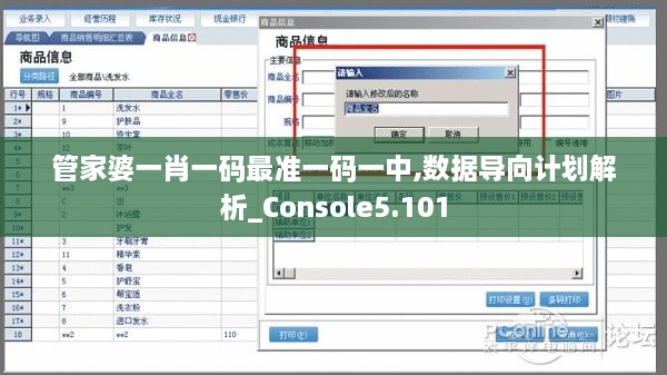 管家婆一肖一码最准一码一中,数据导向计划解析_Console5.101