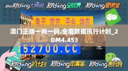 澳门正版一肖一码,全面数据执行计划_2DM4.453