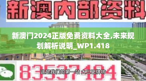 新澳门2024正版免费资料大全,未来规划解析说明_WP1.418