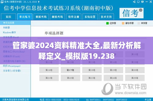 管家婆2024资料精准大全,最新分析解释定义_模拟版19.238