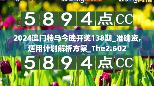 2024澳门特马今晚开奖138期_准确资,适用计划解析方案_The2.602