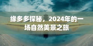 2024年12月8日 第46页